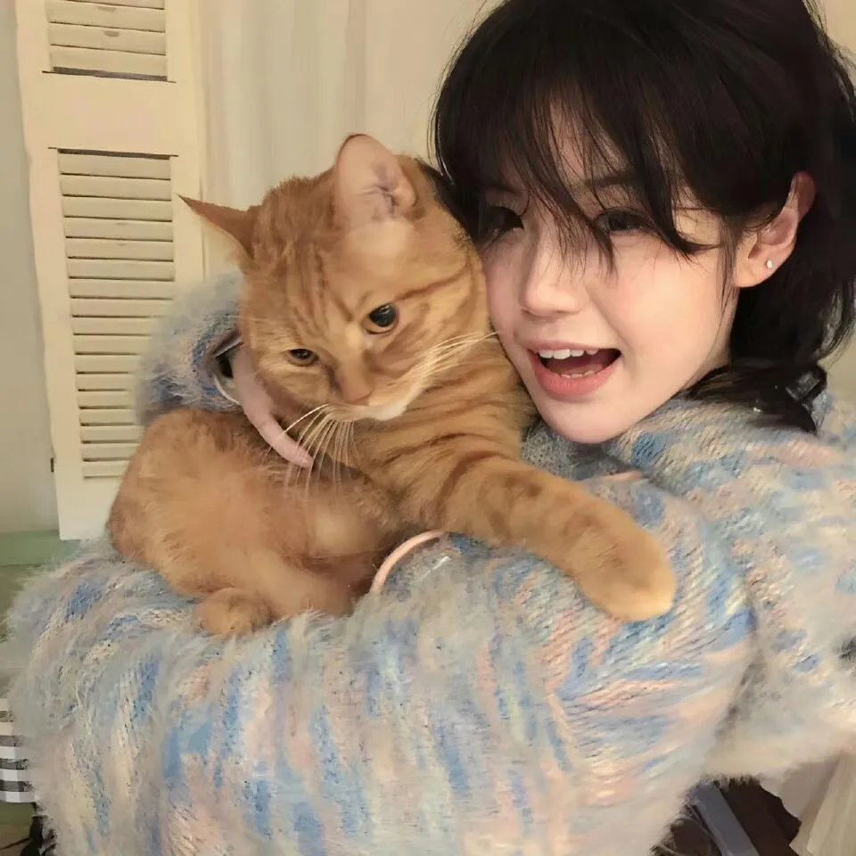 百街日记